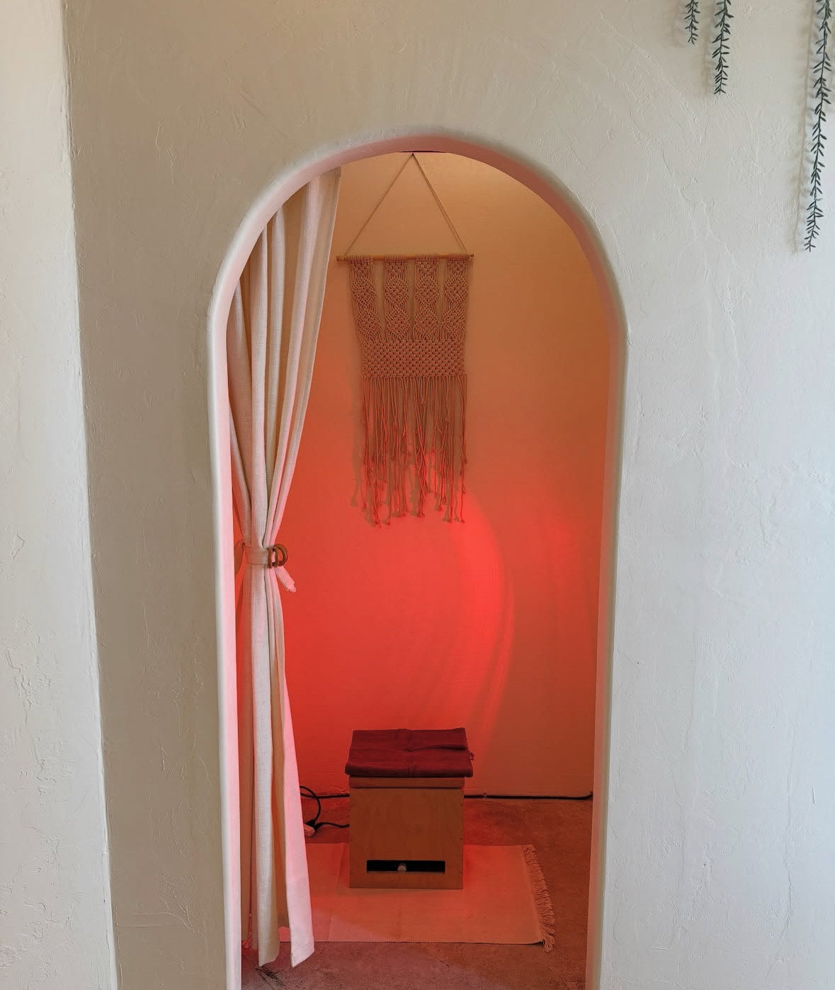 STANDARD PELVIC STEAM — $105/ 45 mins: